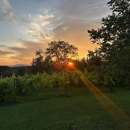 Lind Fruchtreich Apartman Sebersdorf Kültér fotó