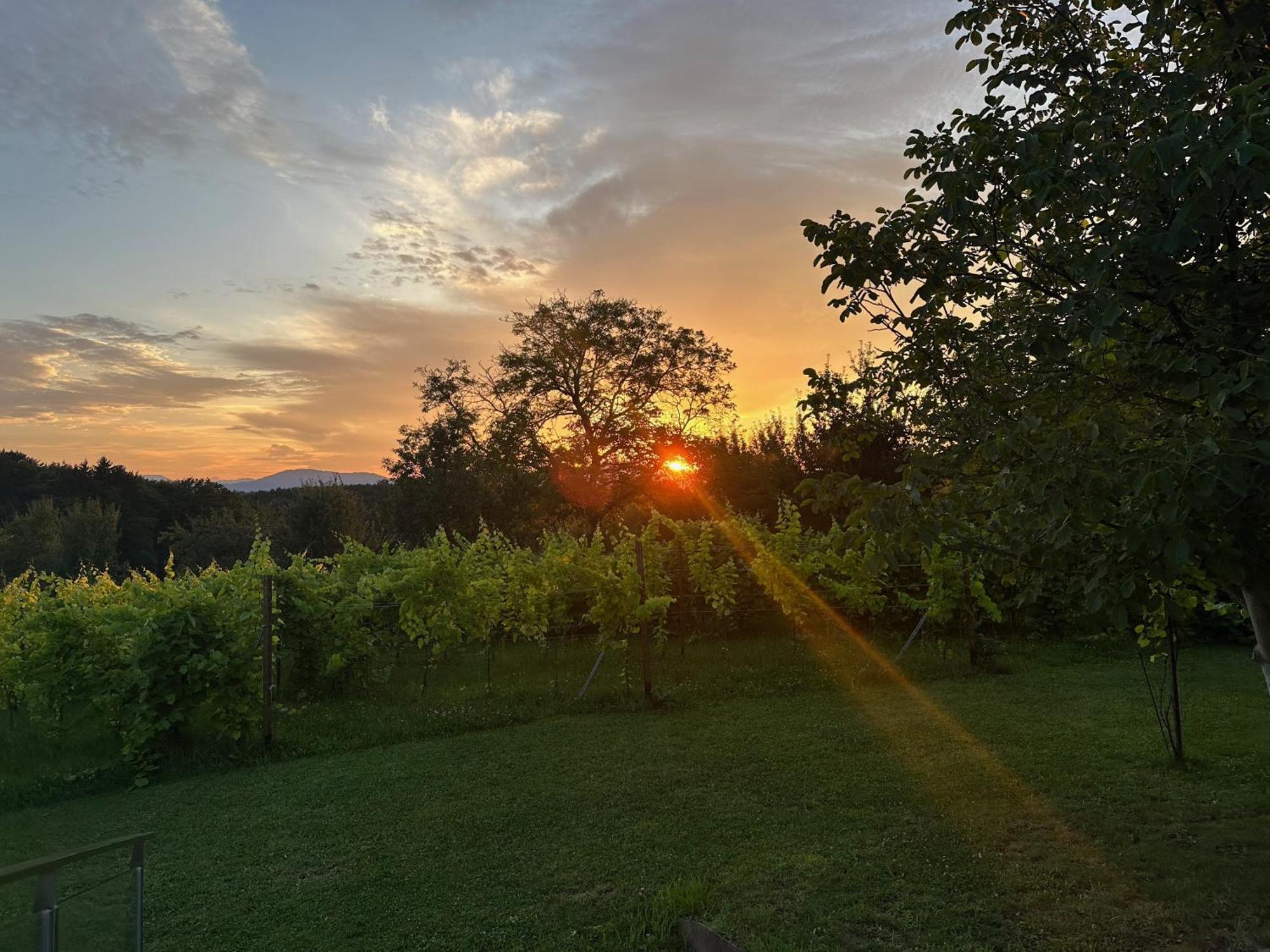 Lind Fruchtreich Apartman Sebersdorf Kültér fotó